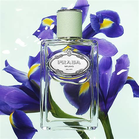 prada les infusion|prada infusion d'iris 50ml.